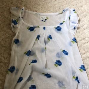 Sheer Gilly Hicks Blouse